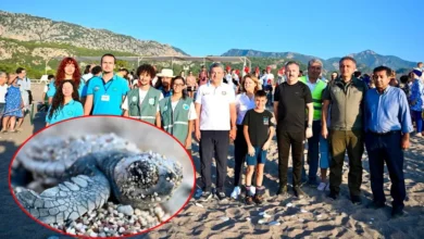 Doğal yaşam için ortak adım: Caretta carettalar denizle buluştu