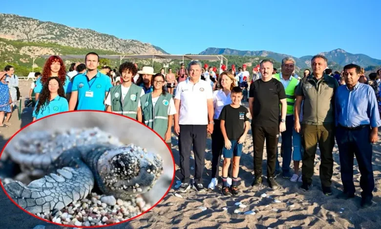 Doğal yaşam için ortak adım: Caretta carettalar denizle buluştu