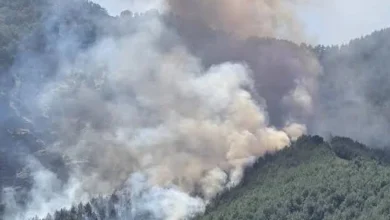 Antalya Kepez'de orman yangını
