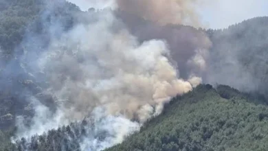 Kaş'taki orman yangınında söndürme çalışmaları ikinci gününde