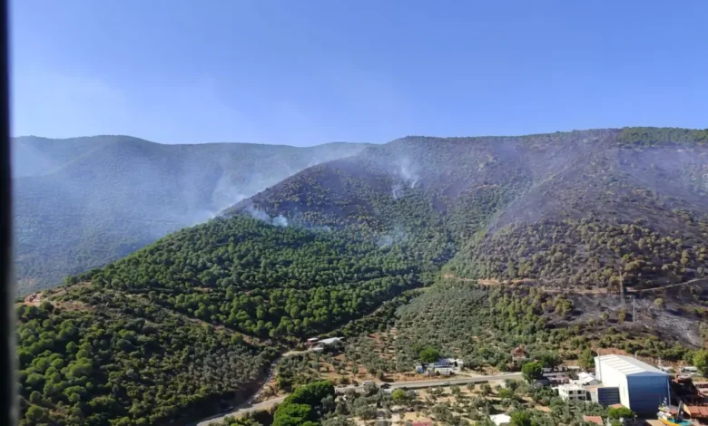 Yalova-Bursa sınırındaki yangın kontrol altına alındı