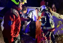 Ayvalık’ta araç yoldan çıktı: 3 yaralı