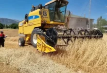 Burdur’da çiftçinin yüzünü güldüren sonuç