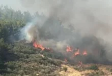 Çanakkale'de orman yangınına müdahale