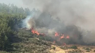 Çanakkale'de orman yangınına müdahale