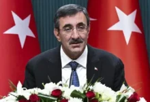 Cumhurbaşkanı Yardımcısı Yılmaz: Arama kurtarma çalışmalarına her türlü desteği sağlıyoruz