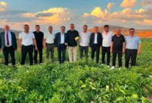 Delice kara kavunu bilimle geleceğe taşınıyor