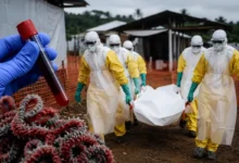 DSÖ’den Ebola uyarısı: KDC’de risk çok yüksek