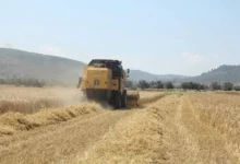 Tarımsal destekleme ödemeleri çiftçilerin hesaplarına aktarılıyor