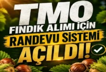 TMO fındık alımı için randevuları açtı