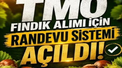 TMO fındık alımı için randevuları açtı