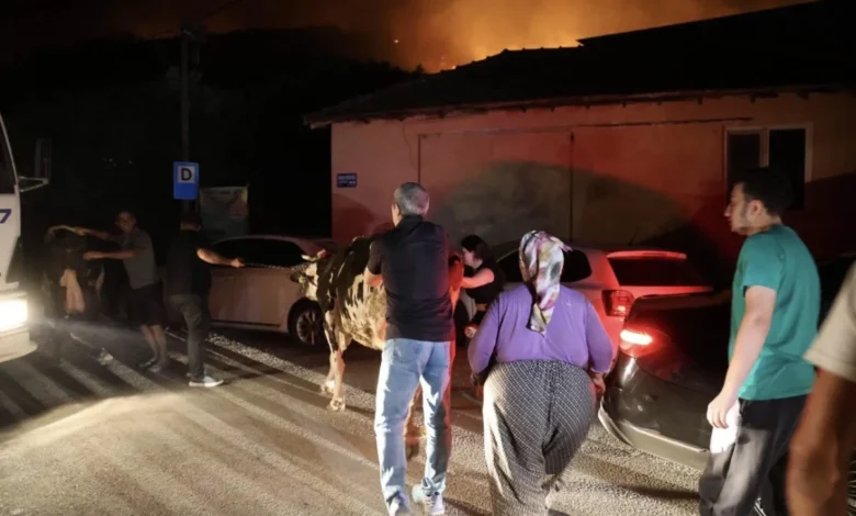Aksu Karaöz’de orman yangını: Havadan ve karadan yoğun müdahale