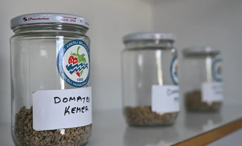 Ata Tohum projesi, katlanarak yürüyor