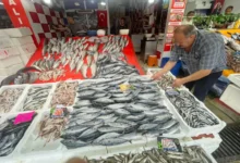 Av sezonu palamut bolluğuyla başladı