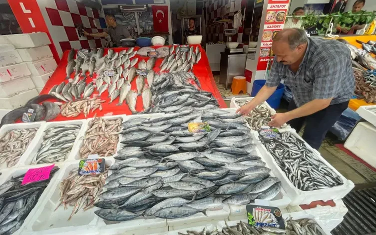 Av sezonu palamut bolluğuyla başladı