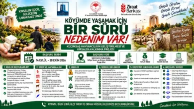 Çanakkale'li küçükbaş hayvan yetiştiricilerine 2 milyon liralık kredi fırsat