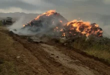 Çat'ta yıldırım düştü, otluk alanda yangın çıktı