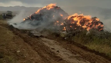 Çat'ta yıldırım düştü, otluk alanda yangın çıktı