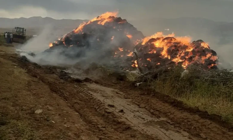 Çat'ta yıldırım düştü, otluk alanda yangın çıktı