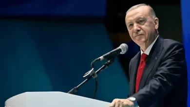 Cumhurbaşkanı Erdoğan’dan Sakarya Zaferi’nin 105. yıl dönümü mesajı