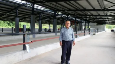 Fatsa’da Damızlık Düve Yetiştirme Merkezi tamamlandı