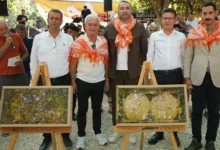 Finike’de 10. Ernez bal festivali coşkusu