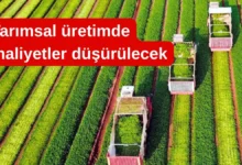 Gıda fiyatlarında yeni dönem: Tarımsal üretimde maliyetler düşürülecek
