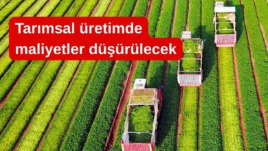 Gıda fiyatlarında yeni dönem: Tarımsal üretimde maliyetler düşürülecek