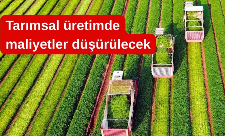Gıda fiyatlarında yeni dönem: Tarımsal üretimde maliyetler düşürülecek