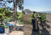 Manavgat'ta hükümlüler temizlik için sahaya indi