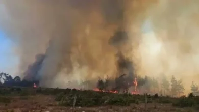 Muğla'da orman yangını büyüyor: Ula'ya ulaştı