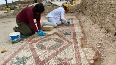 Pompeiopolis’te yeni keşif: 105 metrekarelik mozaik ve Eros başı bulundu