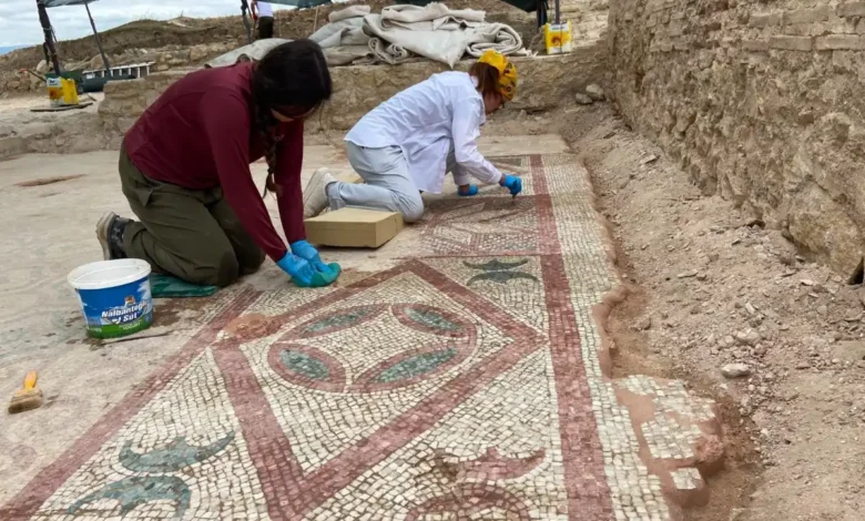 Pompeiopolis’te yeni keşif: 105 metrekarelik mozaik ve Eros başı bulundu