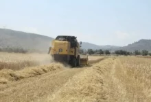 Tarım-ÜFE ağustosta yüzde 0,93 geriledi