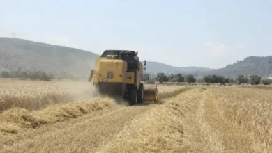 Tarım-ÜFE ağustosta yüzde 0,93 geriledi