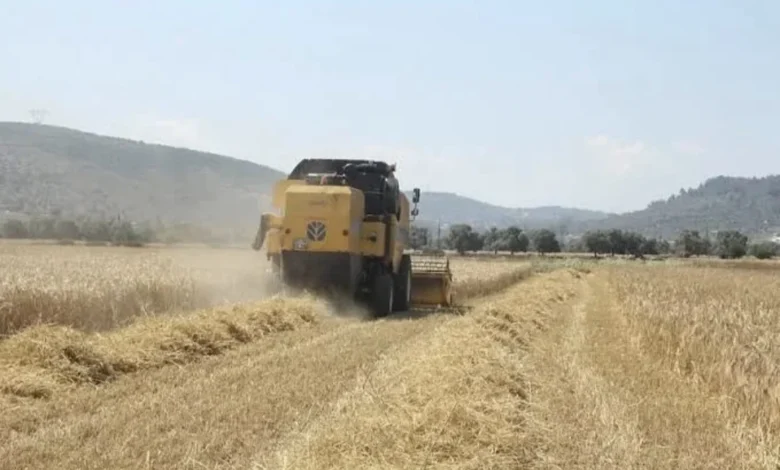 Tarım-ÜFE ağustosta yüzde 0,93 geriledi