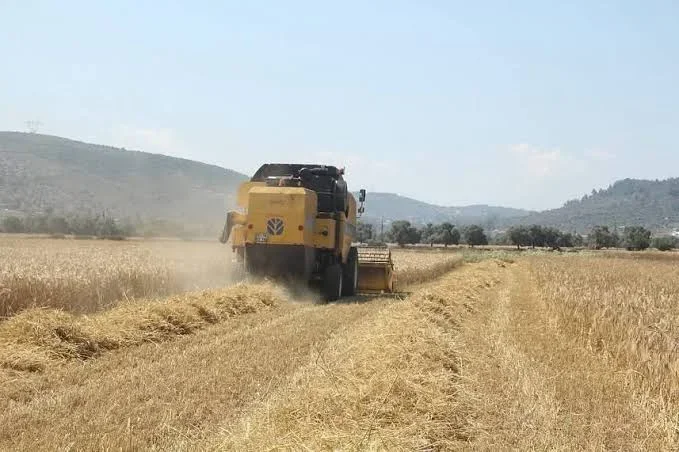 Tarımsal desteklerde artış: Üreticilere yeni destek düzenlemesi