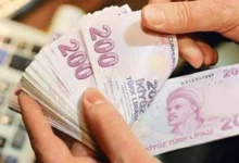 Ekim ayı yaşlı ve engelli aylıkları hesaplara yatırılıyor