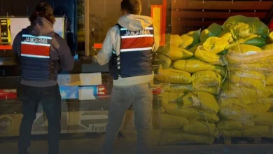 333 kilogram skunk uyuşturucu maddesi ele geçirildi