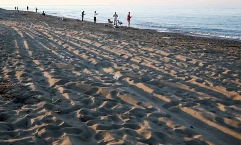 Caretta yuvalarına zararın bedeli 699 bin lira