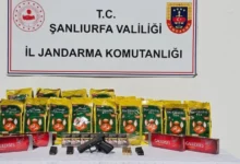 Ceylanpınar’da jandarmadan kaçakçılık ve silah operasyonu