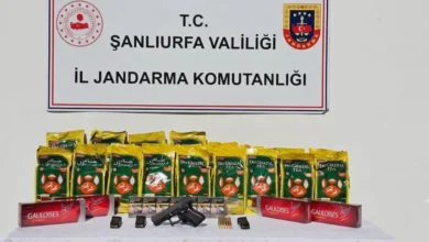 Ceylanpınar’da jandarmadan kaçakçılık ve silah operasyonu