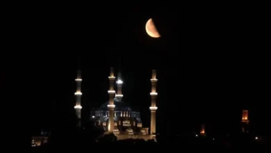Edirne semalarında mest eden görüntü