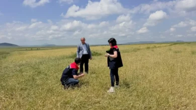 Kars'ta köylerde hasar tespit çalışmaları başlatıldı