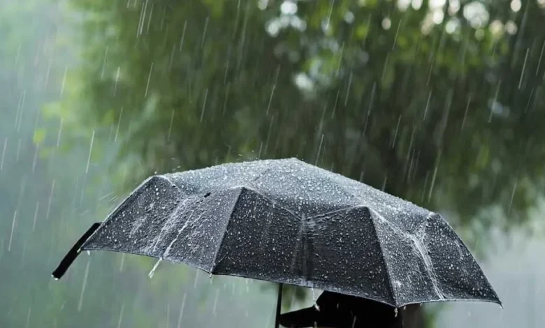 Meteoroloji'den 5 il için sarı kodlu yağış uyarısı