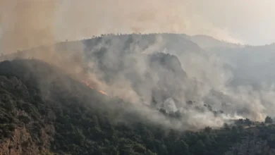 Muğla’da alevler ulaşımı etkiledi: Kritik yol ulaşıma kapatıldı