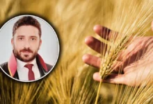 Şanlıurfalı çiftçilere kritik uyarı! "Ürünüm gitti" demeden önce bunu bilin