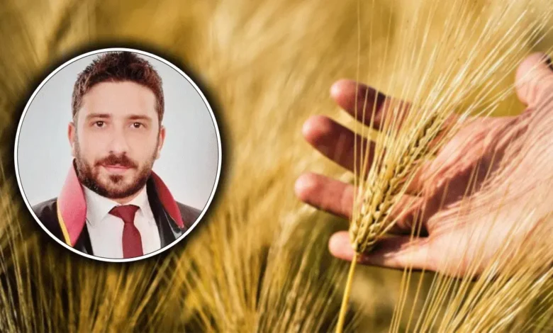 Şanlıurfalı çiftçilere kritik uyarı! "Ürünüm gitti" demeden önce bunu bilin