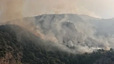 16 ilde 44 orman yangını soruşturması: 29 şüpheli hakkında işlem