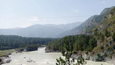 Eğitimci Hayat Aras: Altay’dan Anadolu’ya bitikler 4
